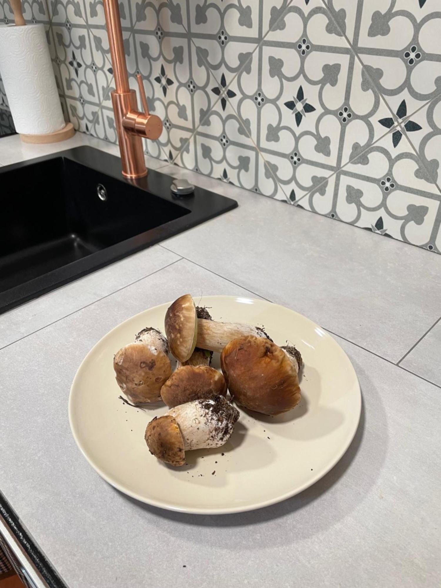 Cal Palaci Caserras
